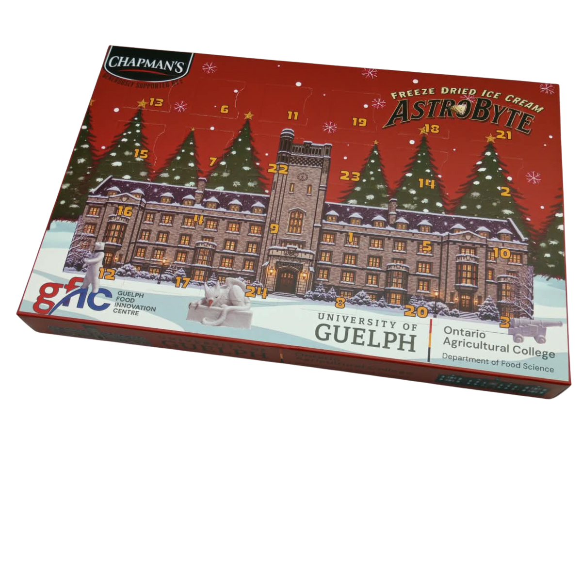PRE-ORDER - Astrobyte Advent Calendar