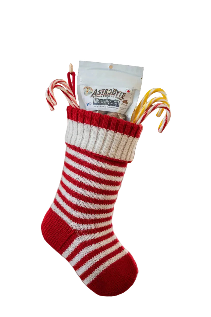 AstroByte - Freeze Dried Ice Cream Snacks 20g