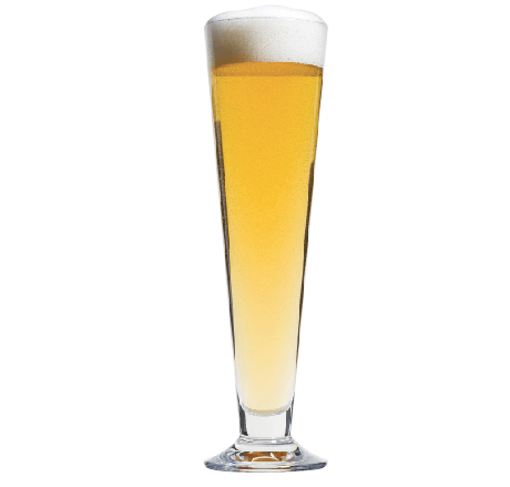 Learn to Brew Class - New Zealand Pilsner (July 19th 2025)